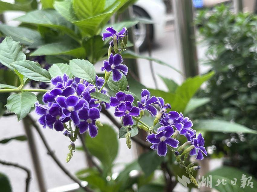 澳门钱多多论坛网站